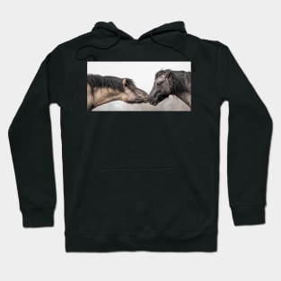 Small Horses, Big Attitudes Hoodie